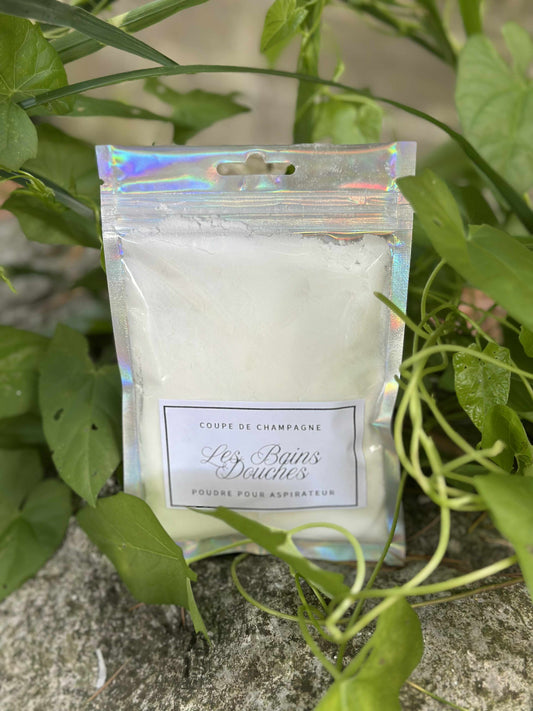 Poudre pour aspirateur