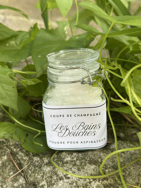 Poudre pour aspirateur